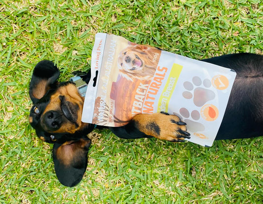 Why Single protein Treats are best for your fur babies