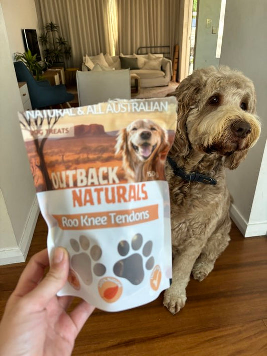Health Benefits of kangaroo treats for dogs