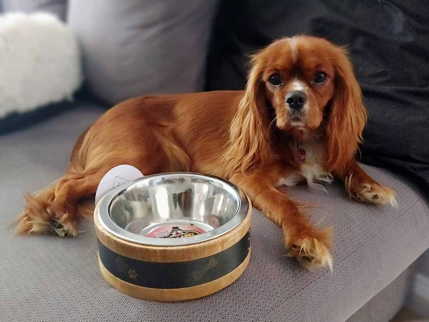 Wooden Ring Dog Bowl