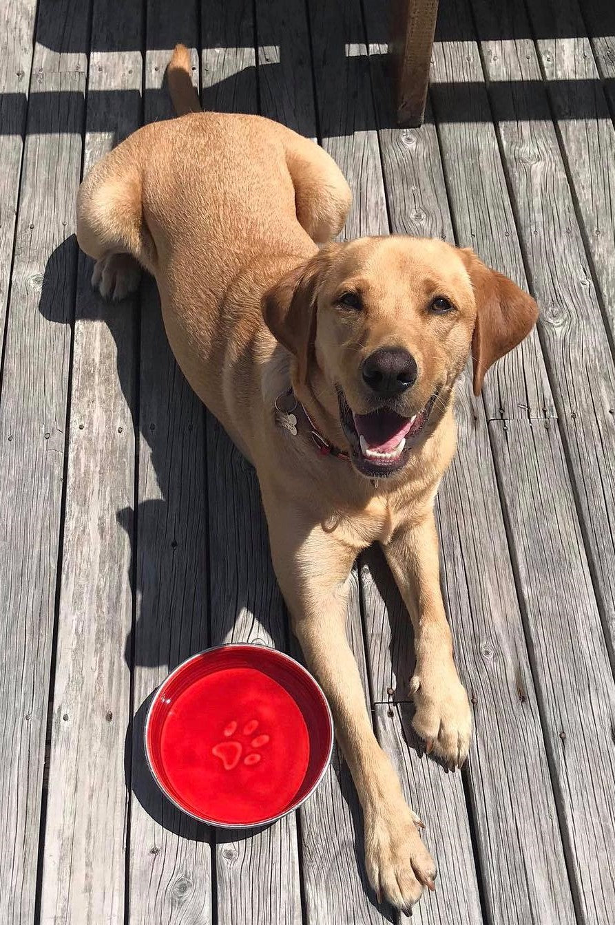 Le Bol Glazed Interior Bowl Bordeaux