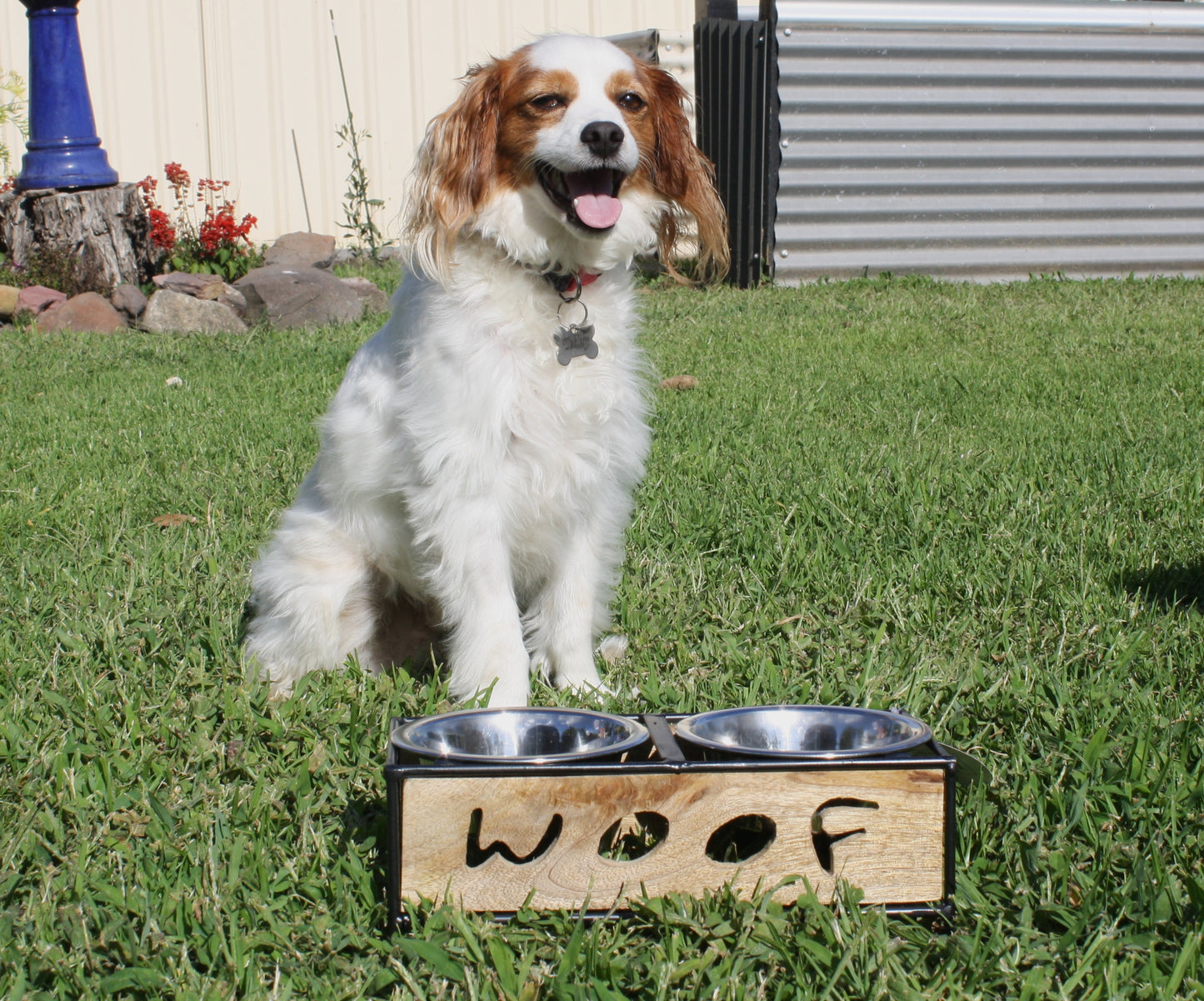 Wooden Woof Cut Dog Diner