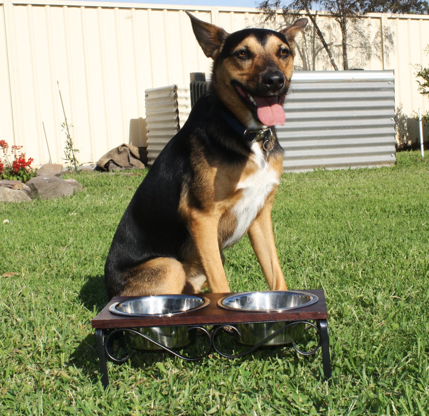 Layton Cherry Top Diner