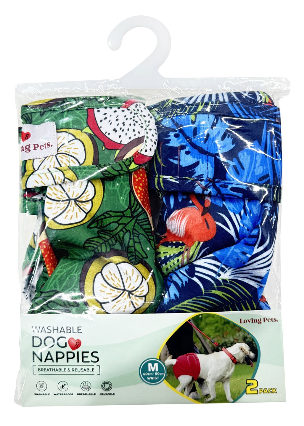 Washable Dog Nappies B/G