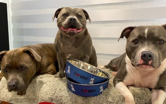 Bella Bowl I Love My Dog