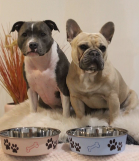 Bella Bowl Plain Murano Blue