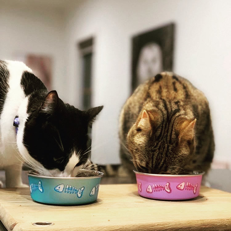 Bella Bowl Skeleton - Pink