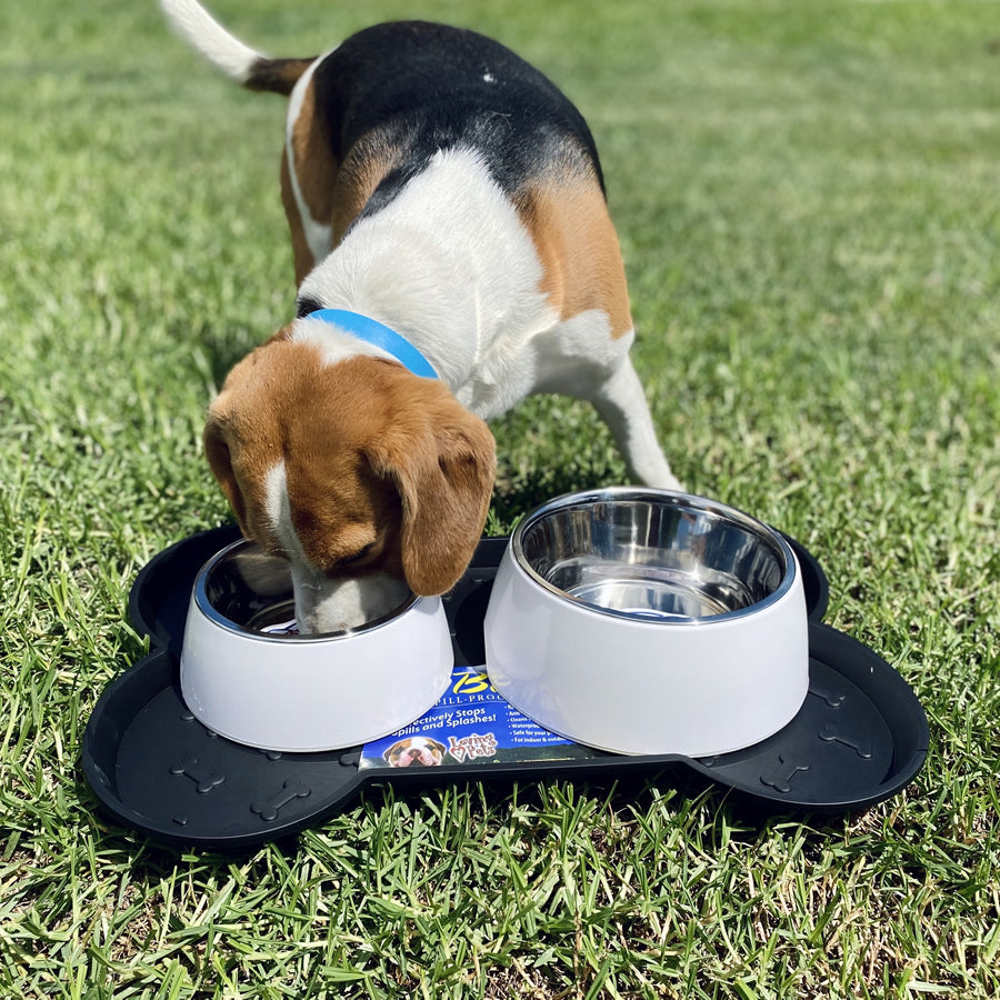 Bella  Dog Tray Black