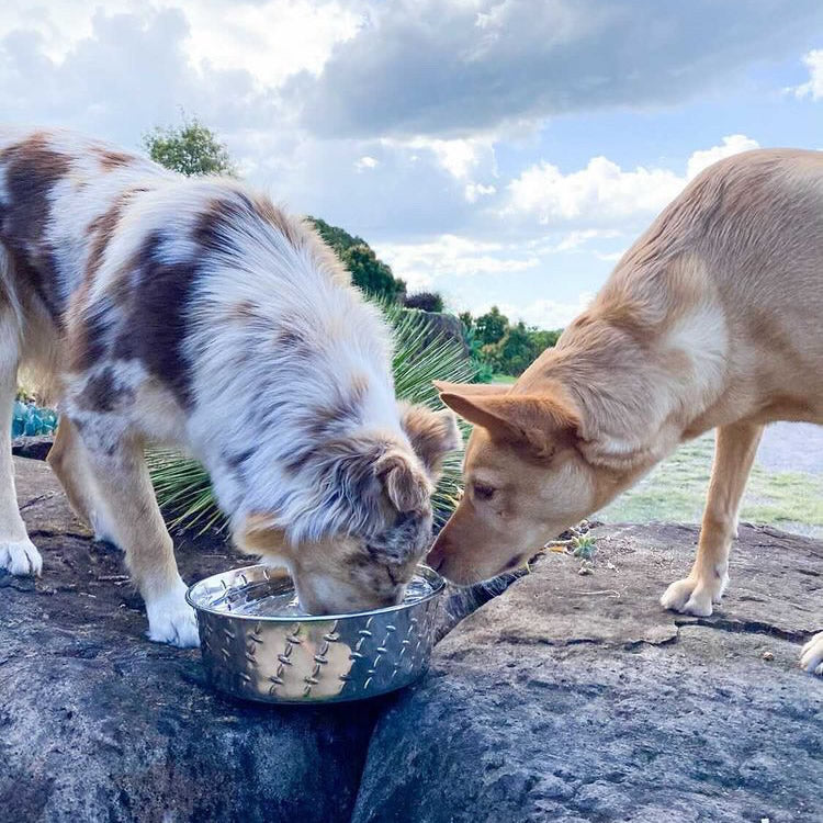 Ruff N' Tuff Diamond Plate Bowl