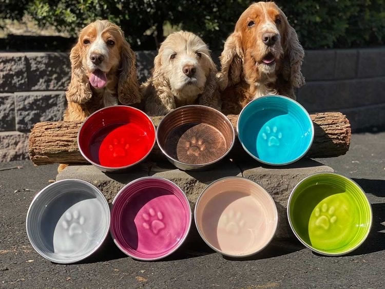 Le Bol Glazed Interior Bowl Bordeaux