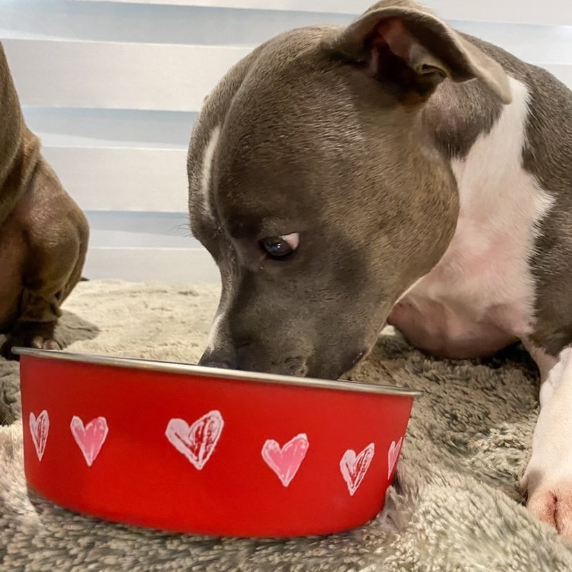 Bella Bowl Valentine Hearts