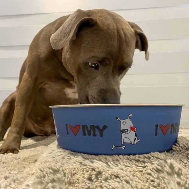 Bella Bowl I Love My Dog