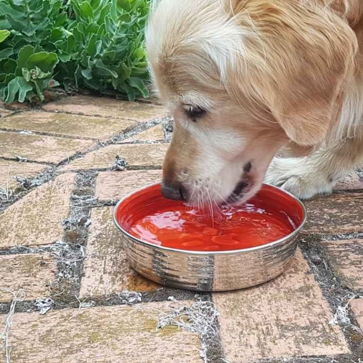 Le Bol Glazed Interior Bowl Bordeaux