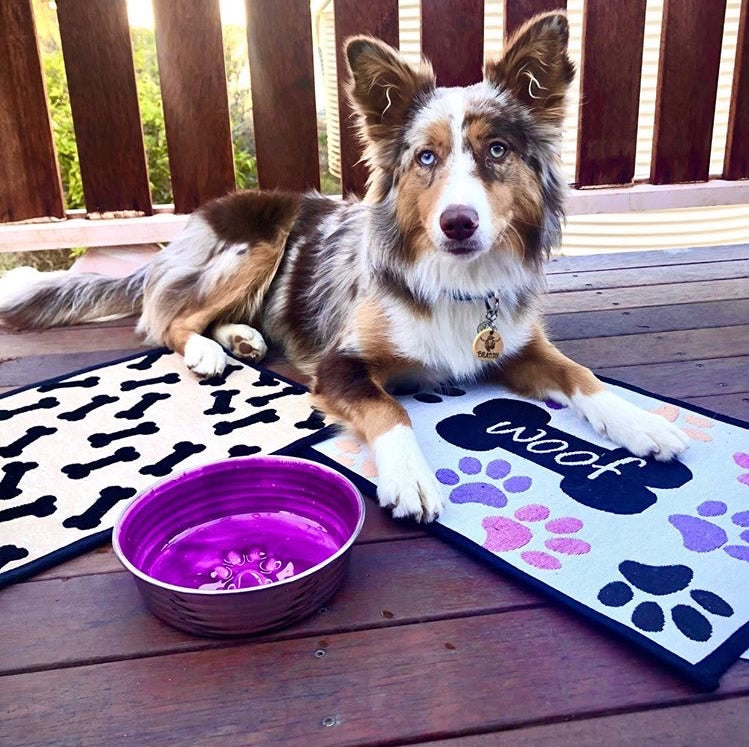 Woof w/Multi paws Fashion Mat