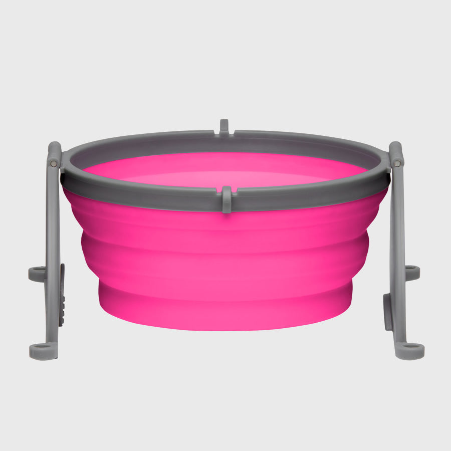 Bella Roma Travel Bowl Pink