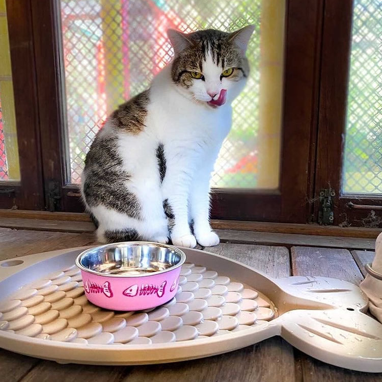 Bella Bowl Skeleton - Pink