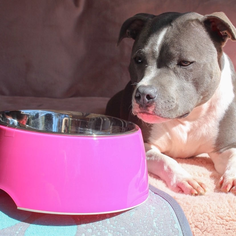Retro Bowl Hot Pink
