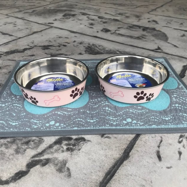 Bella Bowl Paparazzi Pink