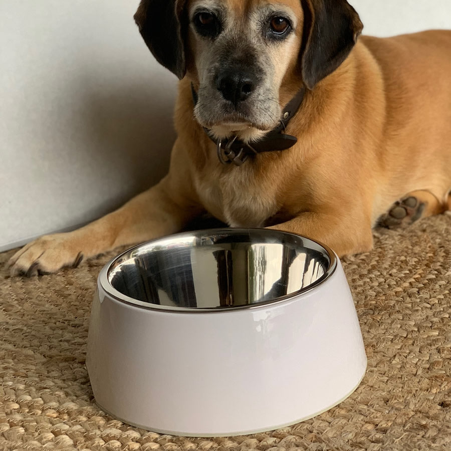 Retro Bowl Ice White