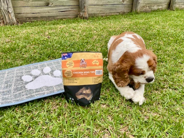 Plaid Paw Fashion Mat