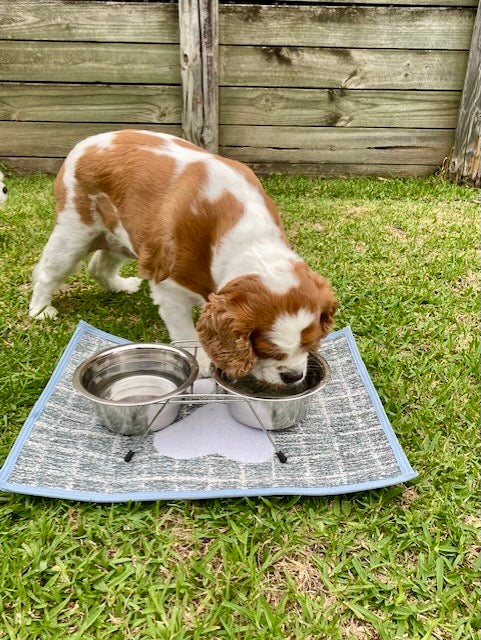 Plaid Paw Fashion Mat