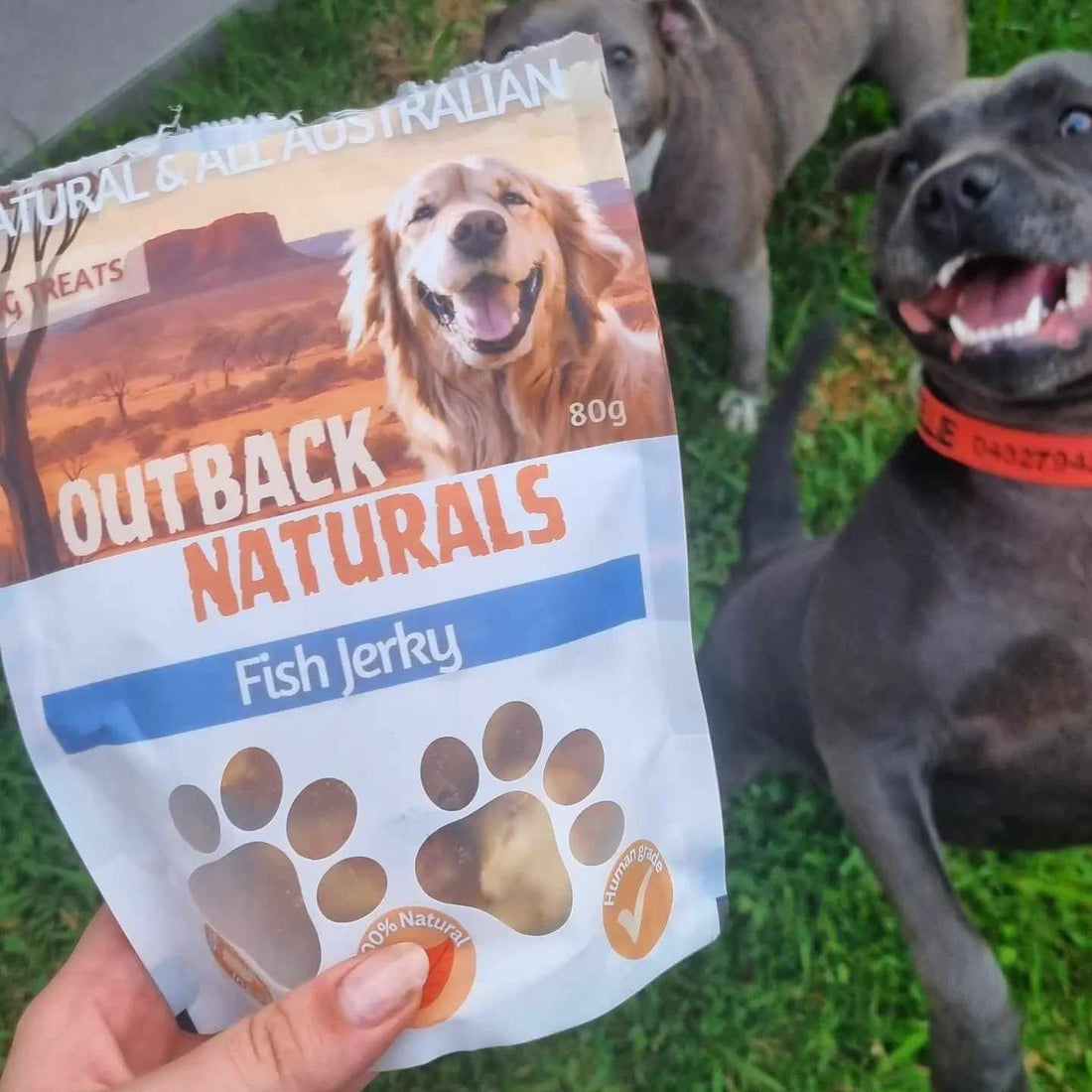 Why you should buy Australian treats for your dog