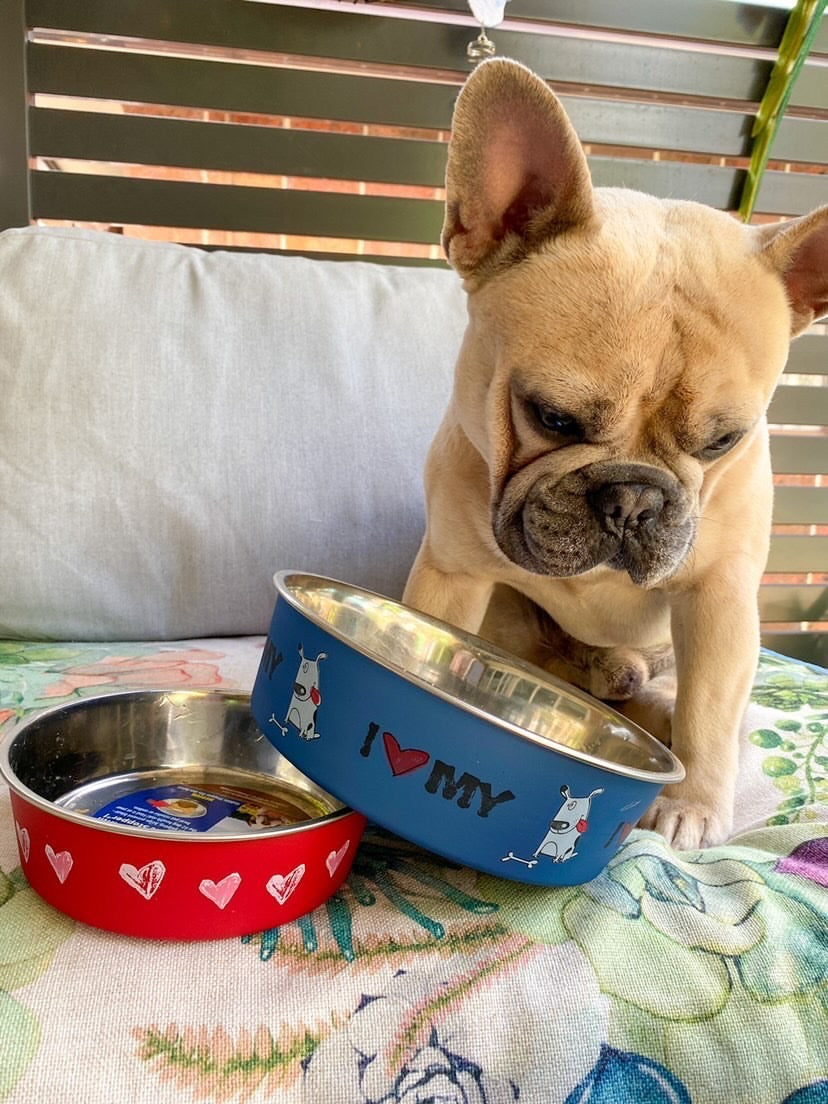 Why are stainless steel dog bowls better than ceramic