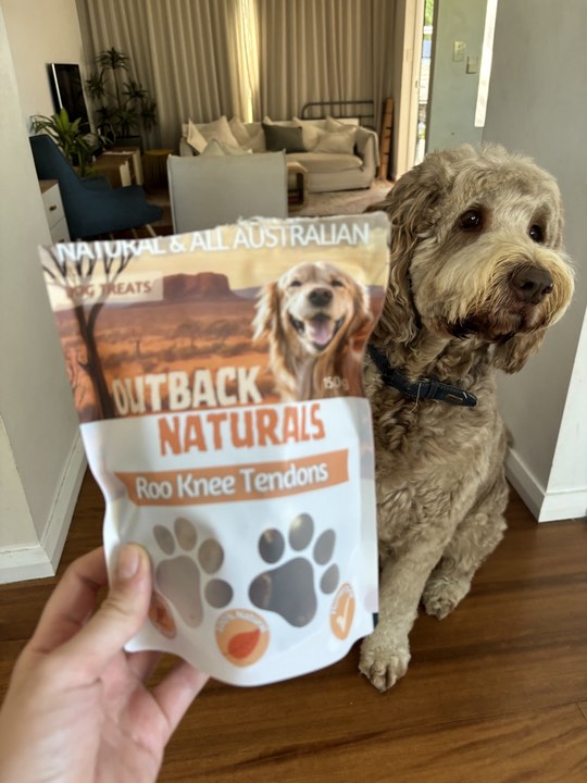 Health Benefits of kangaroo treats for dogs