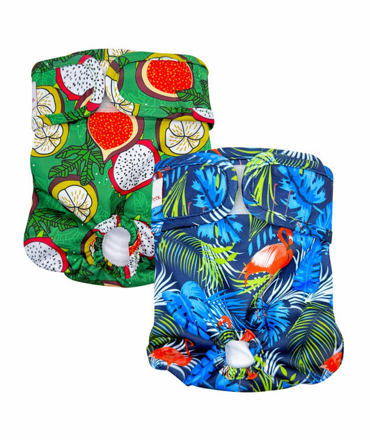 Loving Pets Washable Dog Nappies Blue/Green (2 Pack)