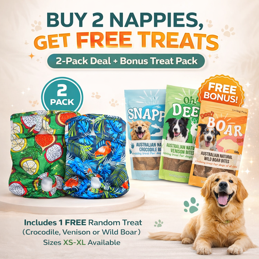 2 Pack(Blue/Green) Nappies with 1 Random Treat (Boar, Croc, Venison)