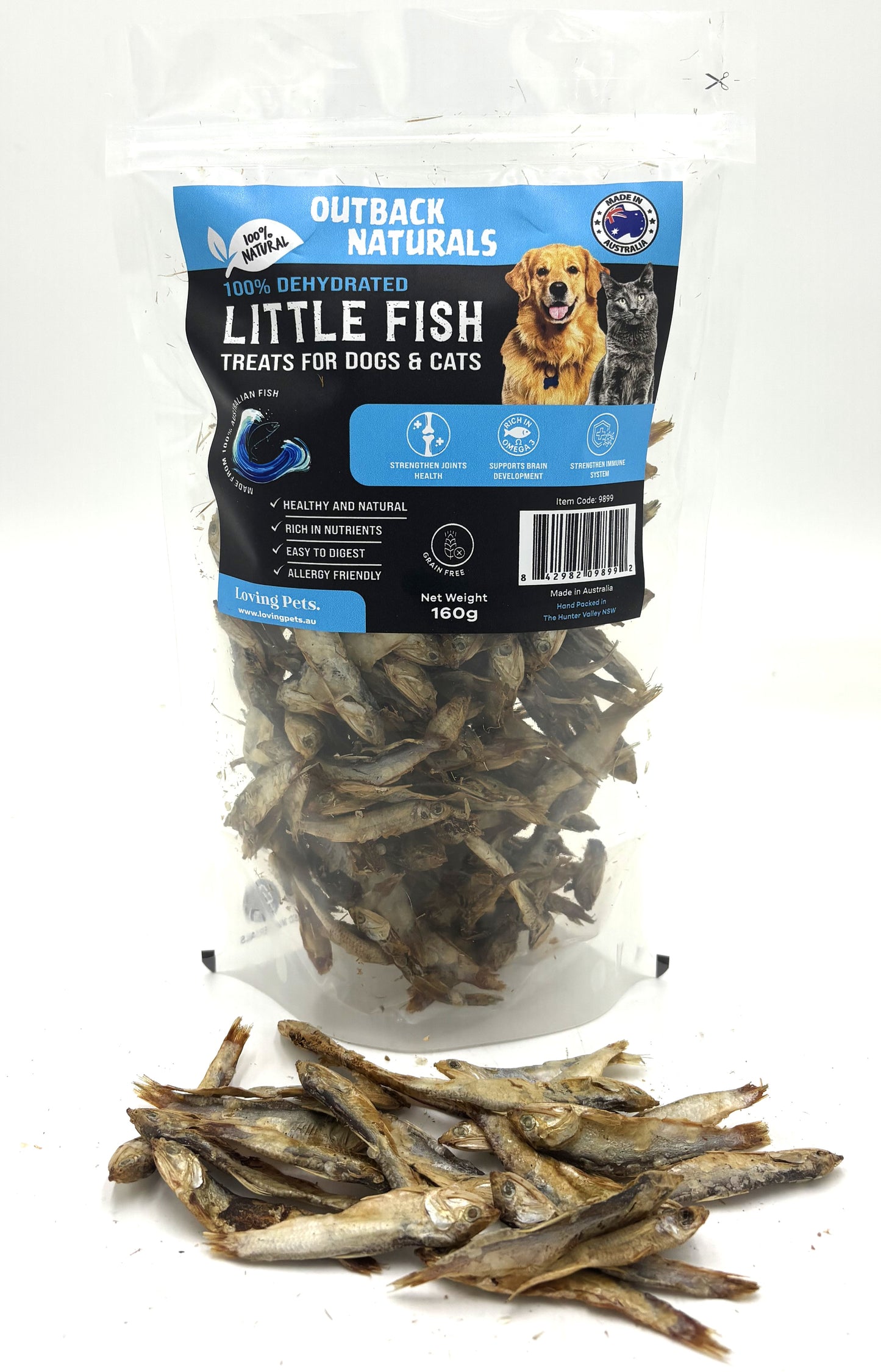 Little Fish Dogs & Cats