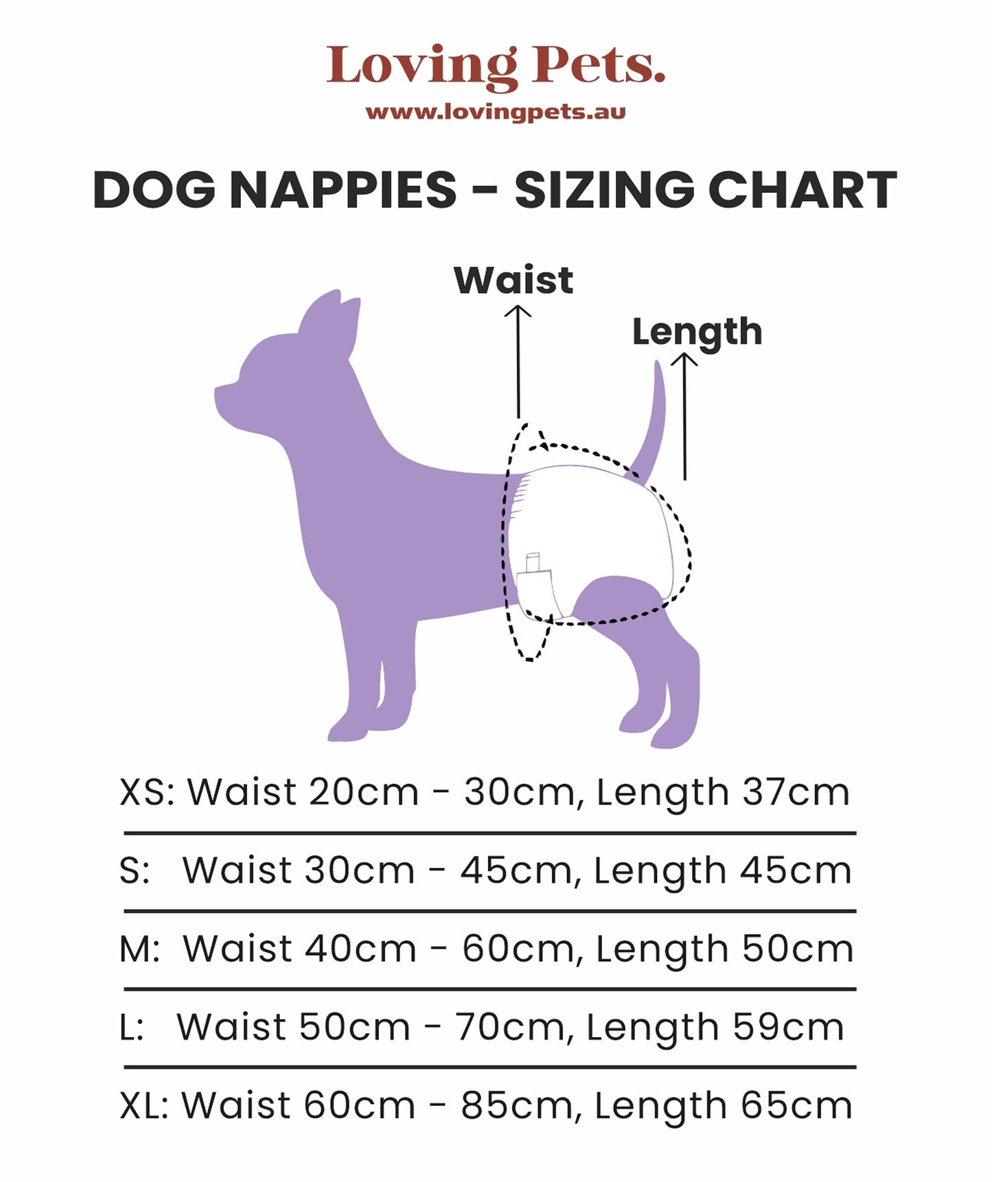 Washable Dog Nappies B/G